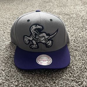 Raptors Hat